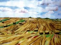 Hay Bales Landscape.