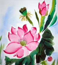 Lotus.