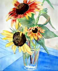 Blue Bench Sunflowers.