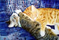Catnap.