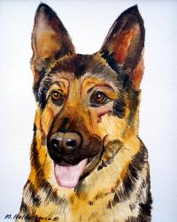 German Shepard.