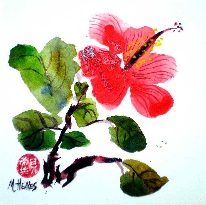 Coral Hibiscus