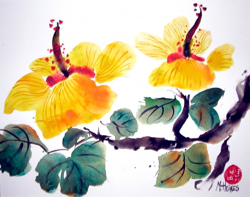 Two Yellow Hibiscus