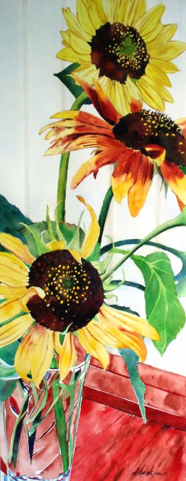 Goliath Sunflowers