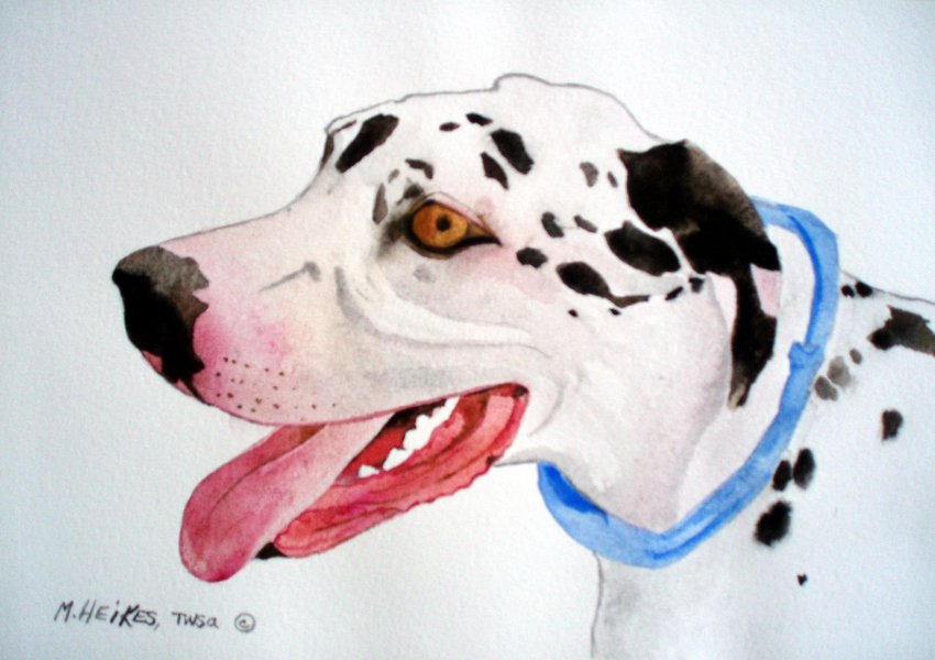 Great Dane