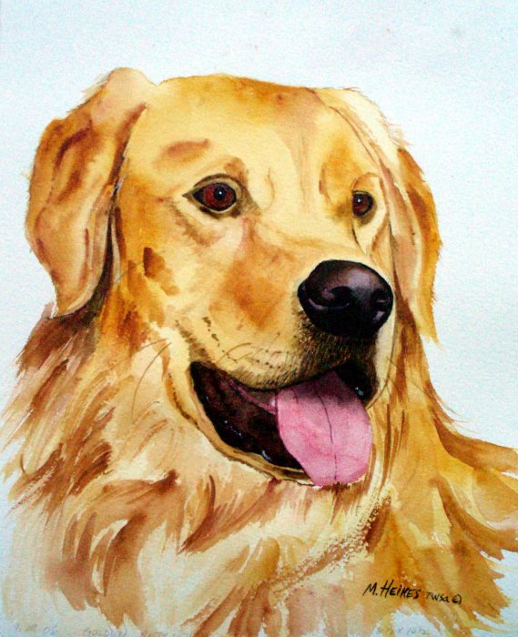 Golden Retriever