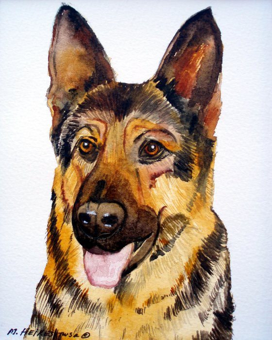 German Shepard