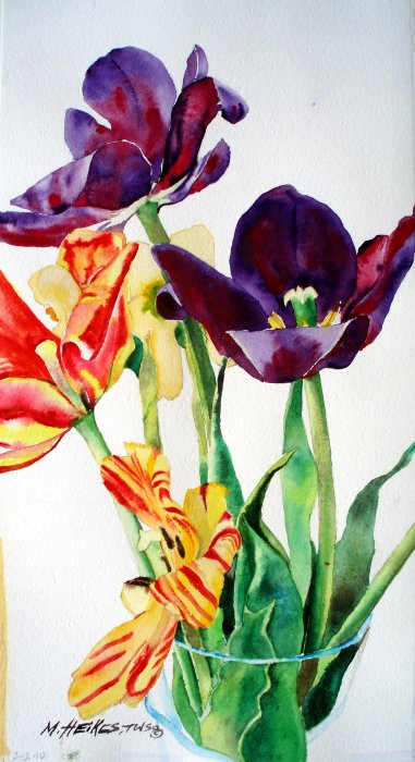 Velvety Tulips