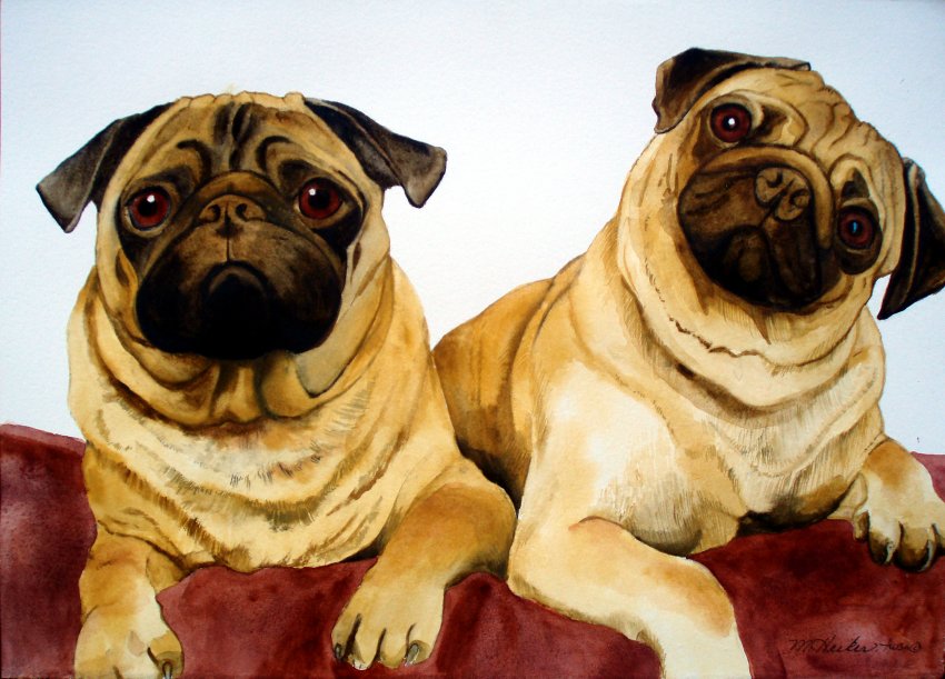 Pugs