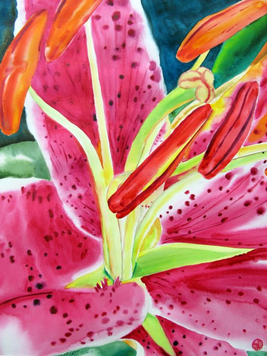 Stargazer Lily