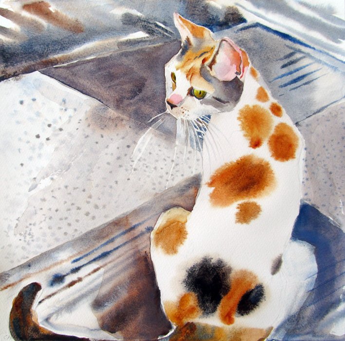 Calico