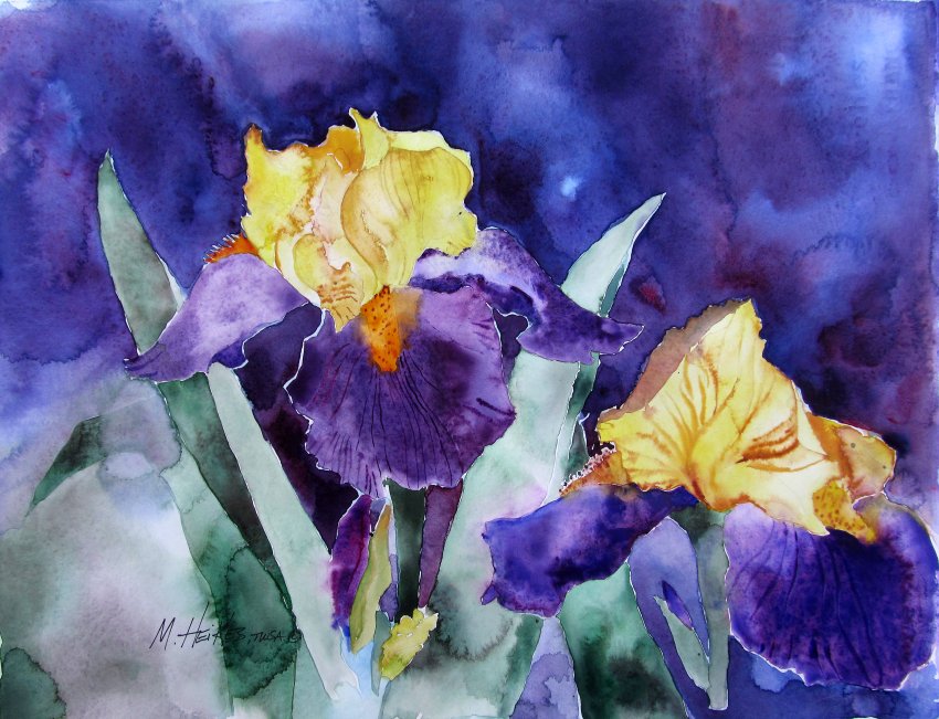 First Irises