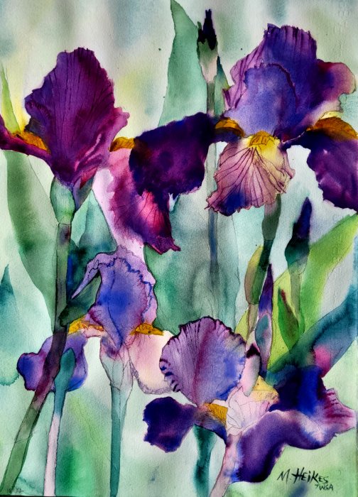 Purple Velvet Irises