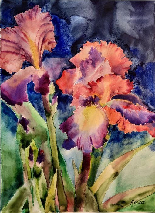 Night Time Irises