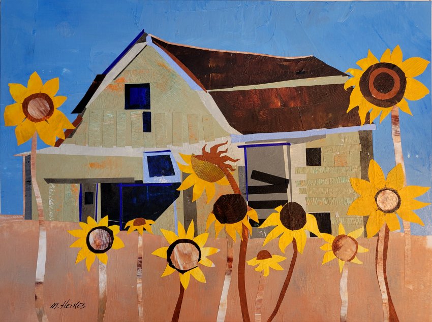 Sunflowers by the Old Barn